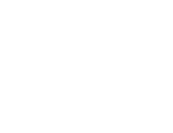 automotive icon